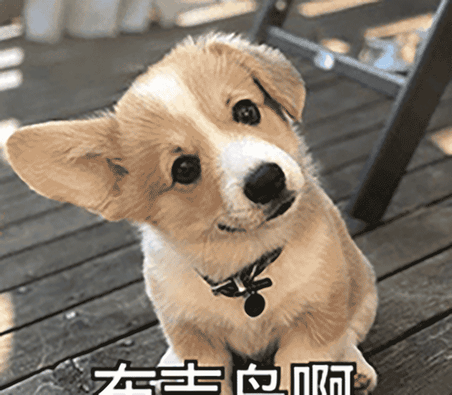 面试官：你先实现个 CountDown 计时器组件吧！