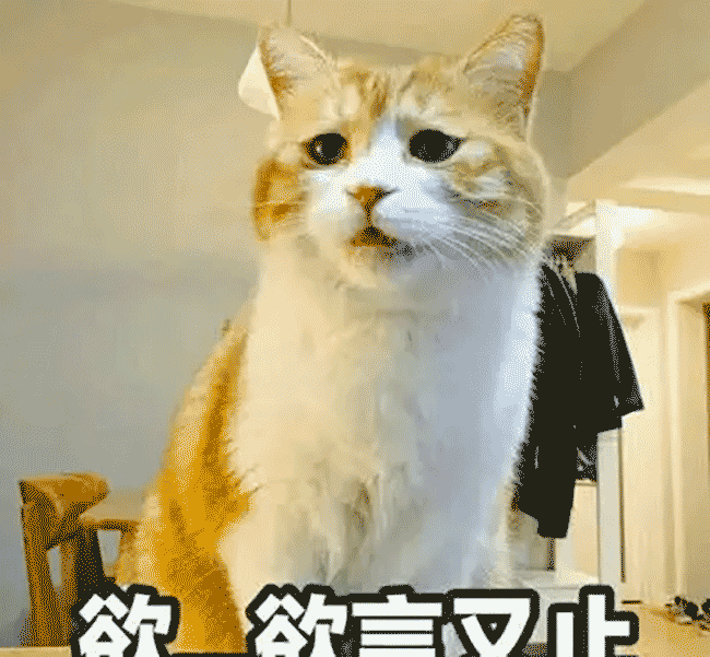 当 Pinia 遇上 web-localStorage-plus ，打不过就加入呗，还能咋?