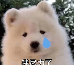 高德地图-散点地图-实现在地图上绘制散点并绑定交互事件