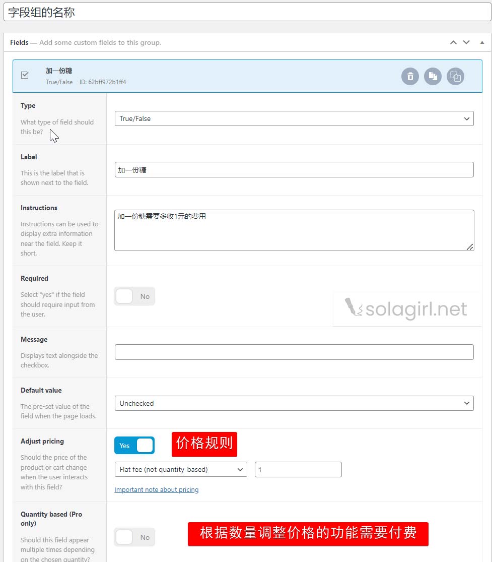 如何为WooCommerce产品页添加自定义字段