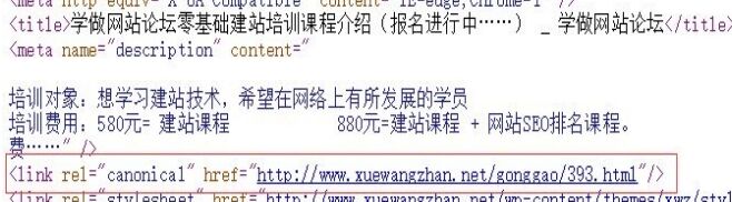 Canonical标签有什么作用？wordpress网站如何正确添加？