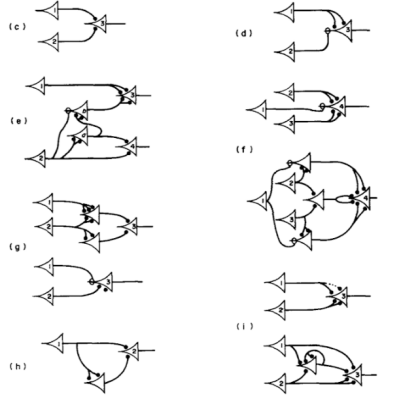 ChatGPT背后的人工神经网络跌宕80年，从命运多舛到颠覆世界