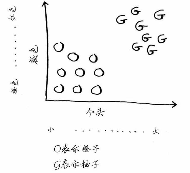 机器学习算法图解：K最近邻算法——橙子还是柚子？