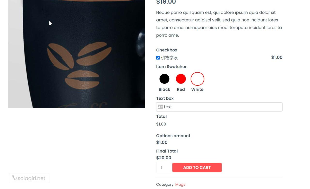 如何为WooCommerce产品页添加自定义字段