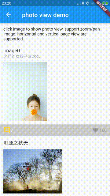 Flutter 仿掘金微信图片滑动退出页面效果