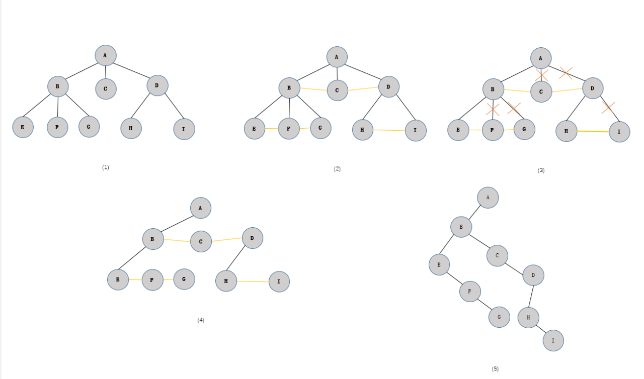 二叉树(树)与森林的相互转换