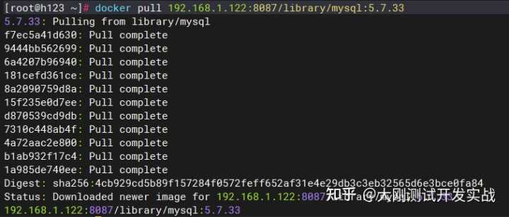 docker用法整理：Docker-hub公共镜像仓库VS私有化镜像仓库Harbor