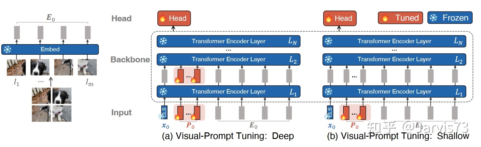 Prompt 学习和微调：有哪些预训练模型?