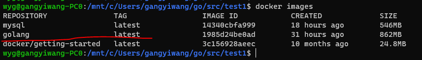 Docker部署golang微服务项目实践教程