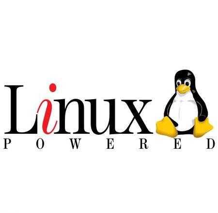 Linux 下各文件夹的结构说明及用途介绍