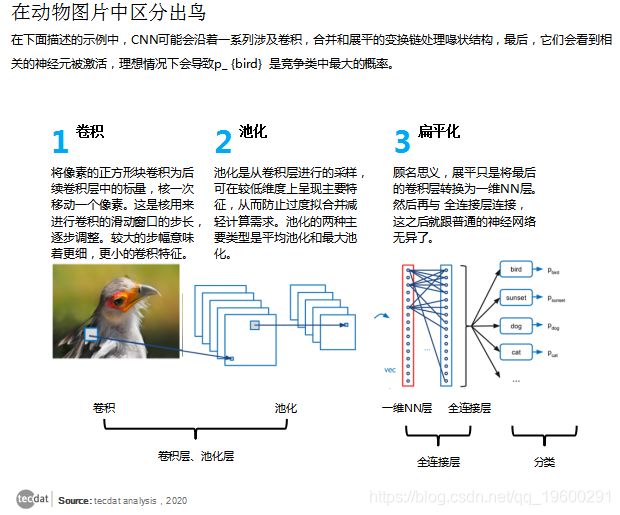 CNN（卷积神经网络）模型VS如何使用R语言的keras CNN模型拟合和预测回归数据