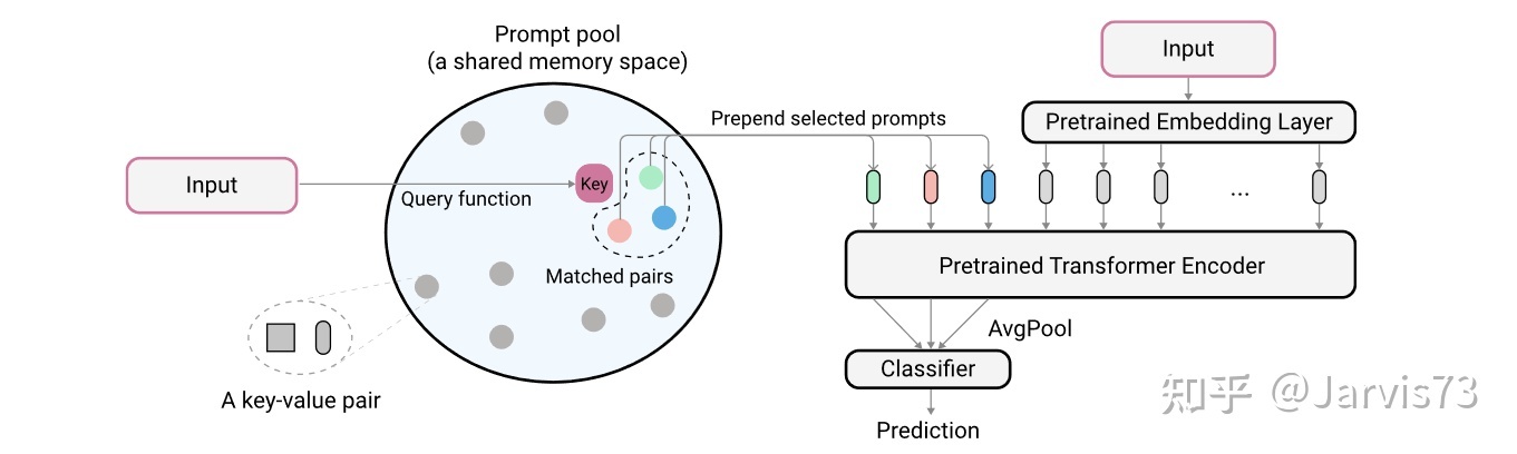 Prompt 学习和微调：有哪些预训练模型?