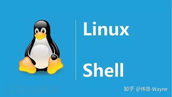 黑客 Shell 神技：掩盖 Linux 服务器上的操作痕迹