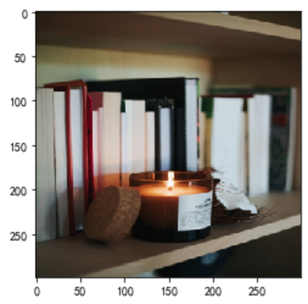 调用 TensorFlow 已训练好的模型做图像识别